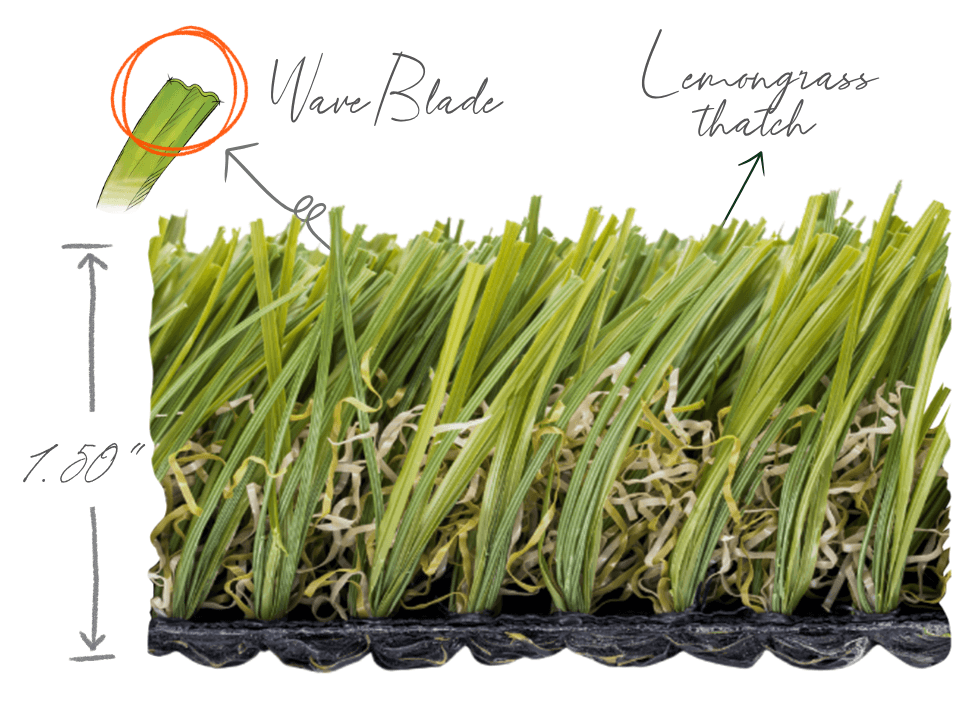 Lemongrass®